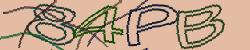 Retype the CAPTCHA code from the image